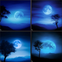1680896005889.png